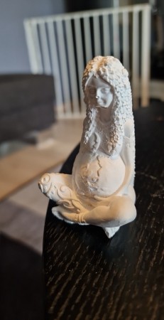 Svanger