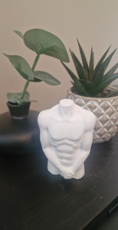 Mannekropp